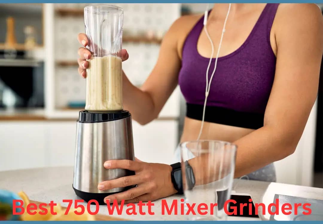 Best 750 Watt Mixer Grinders